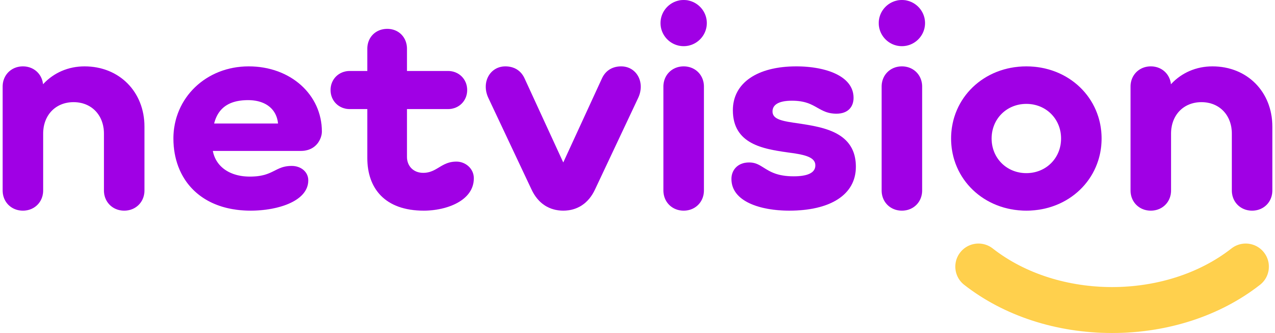 Netvision Logo